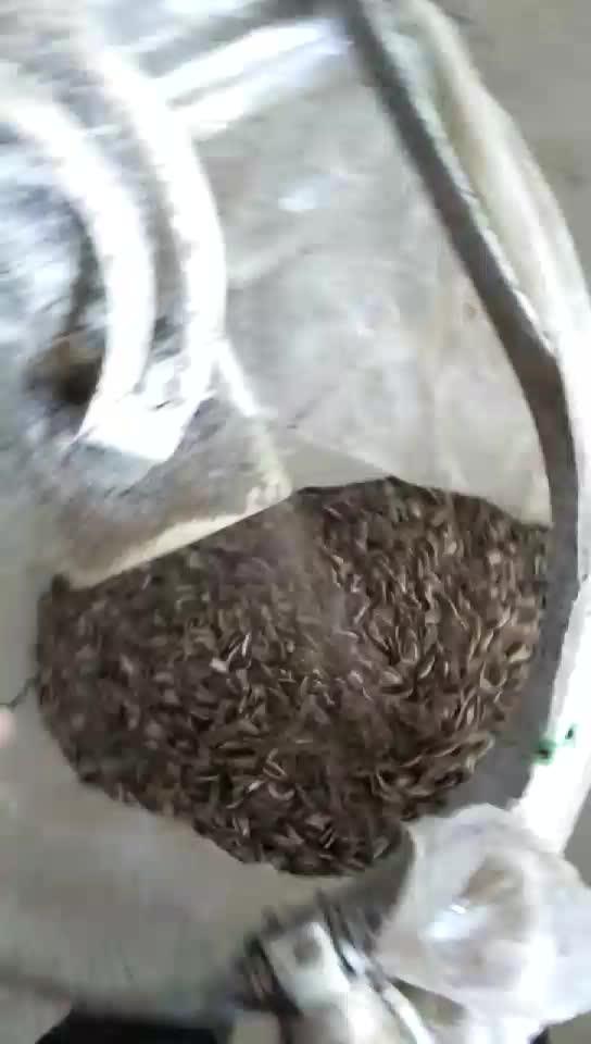 Chinese Dried Raw Edible Sunflower Seeds In Shell Buy Chinese