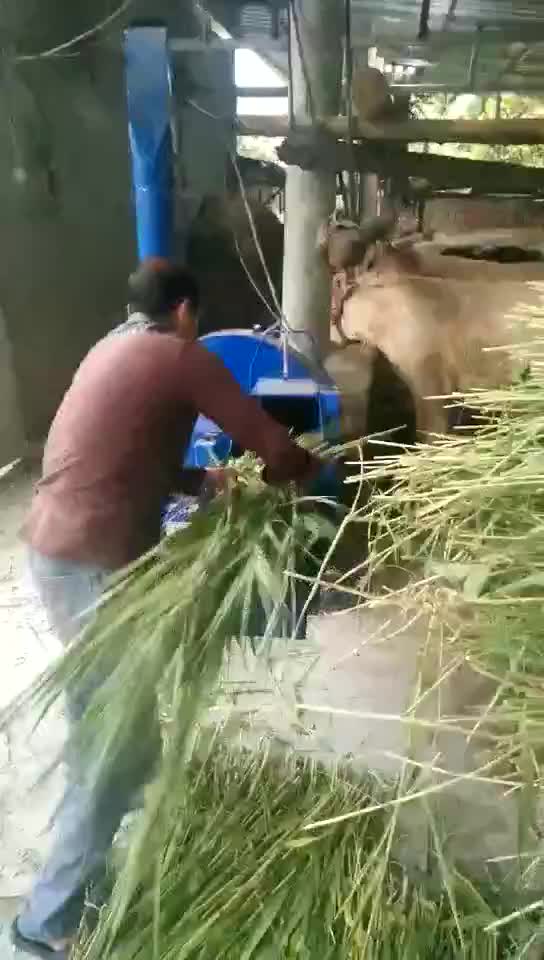 Hay Chopper Cow Grass Cutting Machine For Animal Feed/grass Cutter