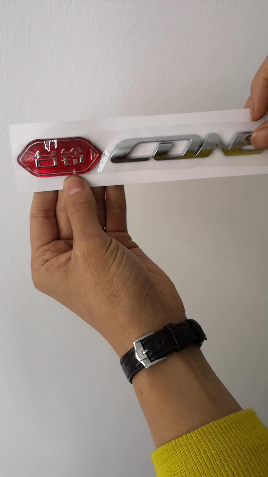 Professional Custom Acrylic Materials Car Emblem Car Badge 3d Logos Of