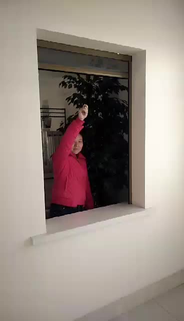 Diy Aluminum Invisible Pull Down Retractable Screen Window View