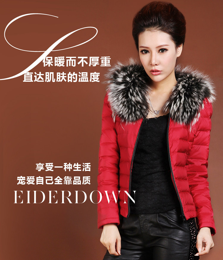 2013冬季正品<em>波司登羽绒服女</em>短款清仓韩版修