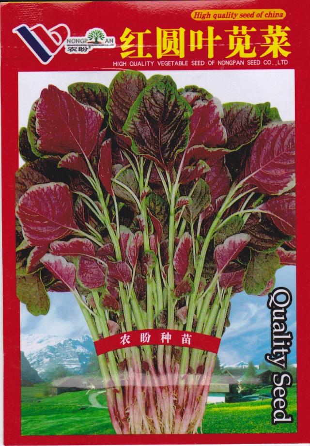 阳台种菜盆栽红苋菜种子贵族野菜 四季蔬菜种子野菜种子原装彩包