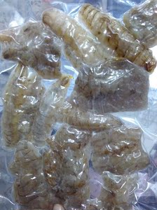 冷冻皮皮虾肉260g 饺子馅 大连海鲜虾蛄肉\/皮皮