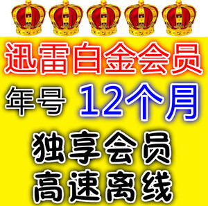x迅雷白金会员12个月一年365天高速VIP出租0