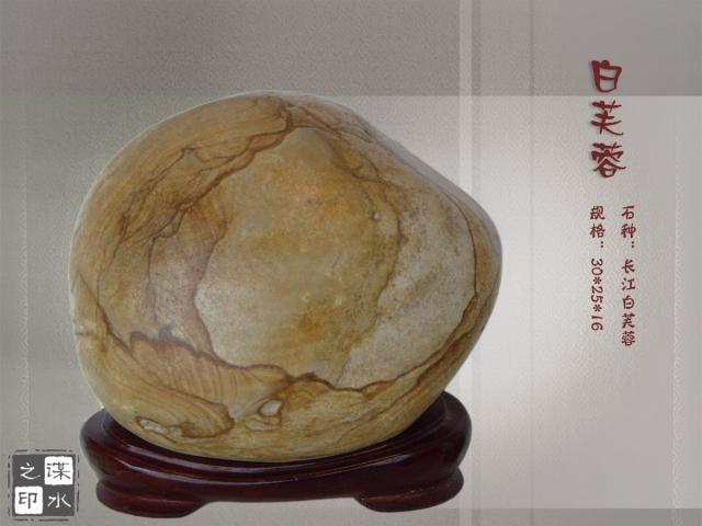 长江石 泸州画面石 白芙蓉石 天然奇石 观赏石 石头摆件摆件