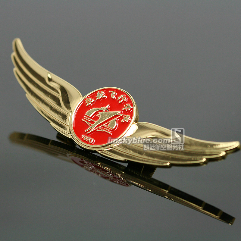 〓凯蓝〓北航飞行学院 飞行徽章〓飞行学员 翅