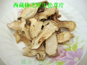 西藏特产 野生松茸菌 新鲜松口蘑 特级童松茸干