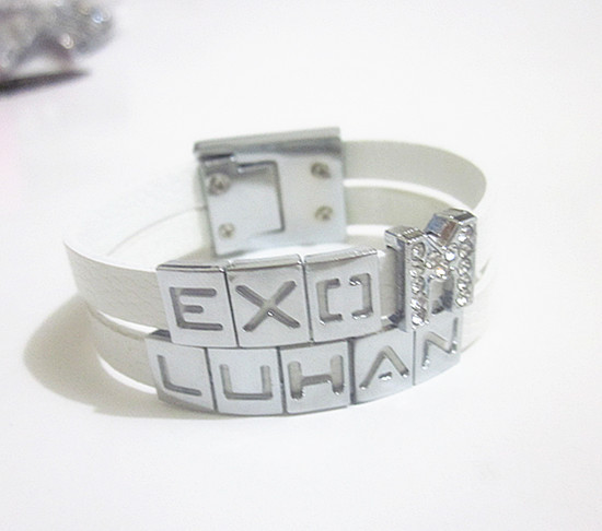 EXO团金珉硕XiuMin 鹿晗 吴亦凡Kris 张艺兴L