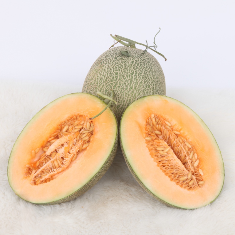 吐鲁番哈密瓜新鲜水果特产\/正宗哈密瓜\/西州蜜