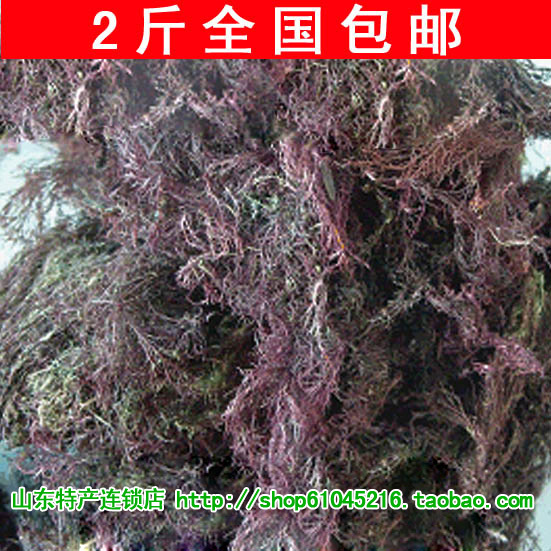 2斤包邮食用紫海草 海石花菜 沙根粉 凉粉原料牛毛菜 海冻菜100克