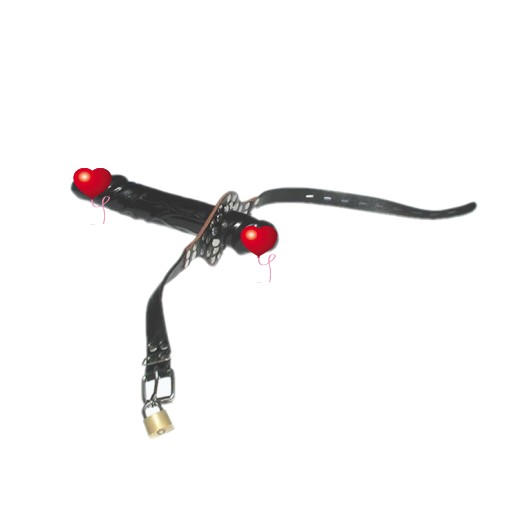 带锁双头阳具口塞口球马具型贞操带LI另类玩具