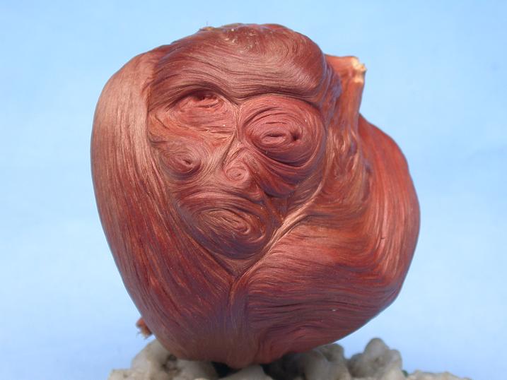 猴脸 天然树瘤木雕根雕 象形木疙瘩木 血龙果木