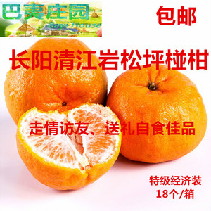 新鲜水果清江岩松坪椪柑碰柑芦柑桔子橘子柑橘