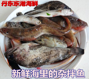 丹东港特产俏货 争相购买的海产品 海鱼 口感好