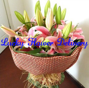 西安百合花花卉 11朵粉色百合花束 送老人生日
