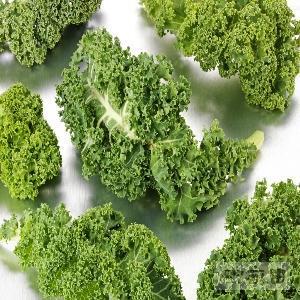  满包邮 促销新鲜蔬菜 羽衣甘蓝 绿色的 沙拉蔬菜 料理蔬菜 500g