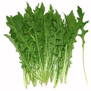 新鲜蔬菜 野菜 芝麻菜 蔬菜沙拉火箭生菜 西餐料理 250g 德国荠菜