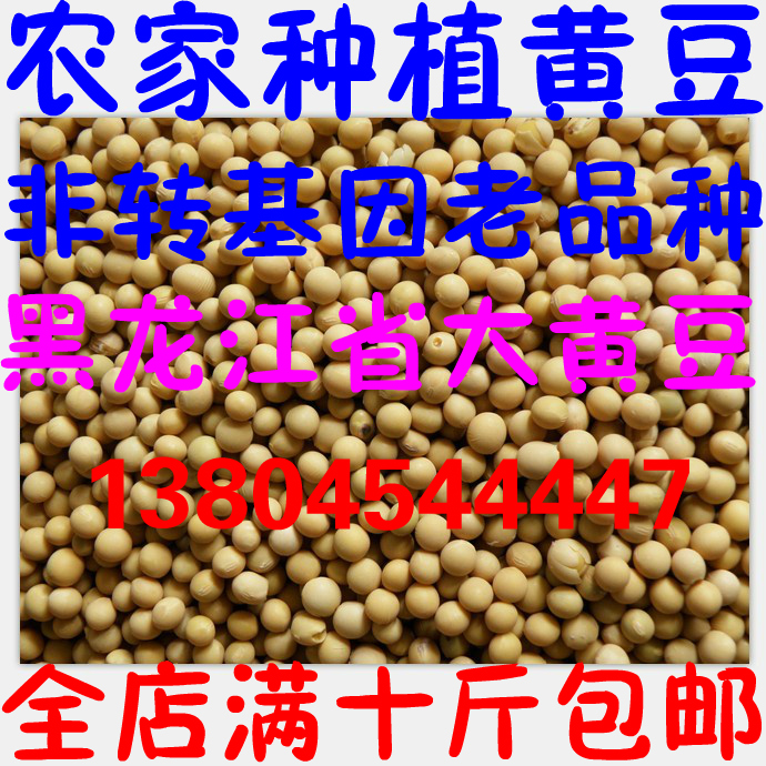 非转基因黑龙江省农家黄豆 原生态农家肥无农药种植黄豆 农户自销|msdalam kategori beras/Utara-Selatan barangan kering/perasa, meter/tepung/bijirin, Beans, kacang soya - dari Buy2taobao.com untuk memberikan perkhidmatan ejen Taobao profesional membeli