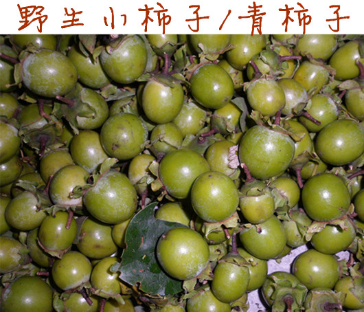 新鲜野柿子山柿子小柿子 柿子泡酒 止咳治哮喘