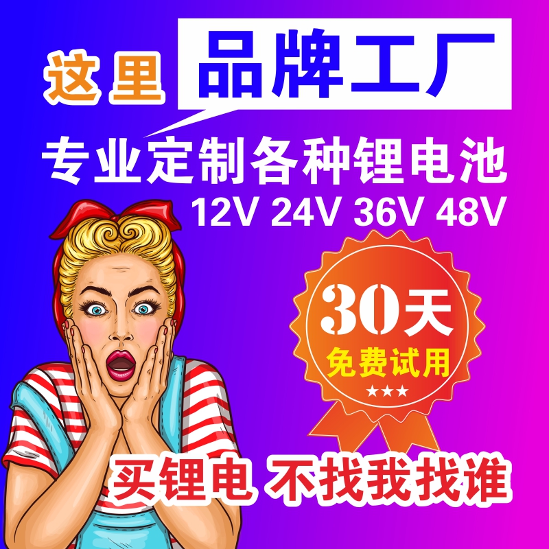 24V36V48V电动车锂电池新国标滑板银鱼款电动电瓶车电电池捷安特在类目 电动车/配件/交通工具, 电动车零/配件, 电动车电池中 - 来自Buy2taobao.com提供专业的淘宝代购服务