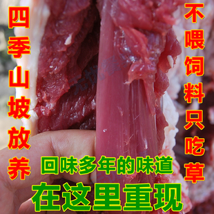  太行山放养纯山羊 新鲜羊肉 生山羊肉 吃青草山羊 拒绝掺假绵羊肉