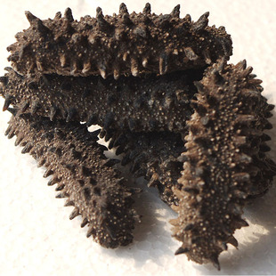  淡干海参 日本关东六排刺参干货 纯野生北海道红参 15到18倍泡发