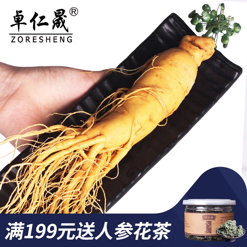 卓仁晟保鲜参200g 新鲜山参人参保鲜参吉林鲜人参园参长白山泡酒在类目 传统滋补营养品, 参类滋补品, 人参/园参中 - 来自Buy2taobao.com提供专业的淘宝代购服务