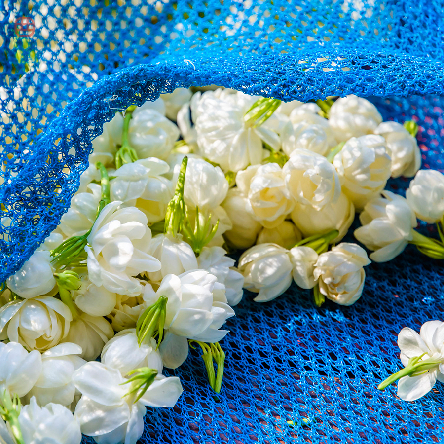 Mountain and sea food post|Jasmine Dry tea Bud Snowball Guangxi Heng Jasmine 19 Newin the Tea , Replacement/Flowers/Fruit/Tea reprocessing , Replacement/Herbal Tea category - from Buy2taobao.com to provide professional Taobao agent buy service