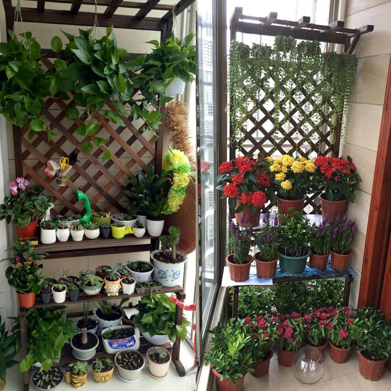 Showy Green radish flowers multi-storey Solid wood balcony Flower trellis Shelf Bamboo fence Ladder outdoors household fencein the Flower delivery/Flowers simulation/Plants gardening , Vase/Flower/Flowerpot/Flower (New) , Flower category - from Buy2taobao.com to provide professional Taobao agent buy service