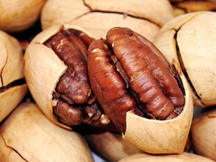  特价坚果炒货奶油味大圆碧根果长寿果美国山核桃本月新货量大包邮