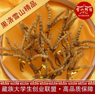  【索南才让】冬虫夏草5-6条 同仁堂品质虫草