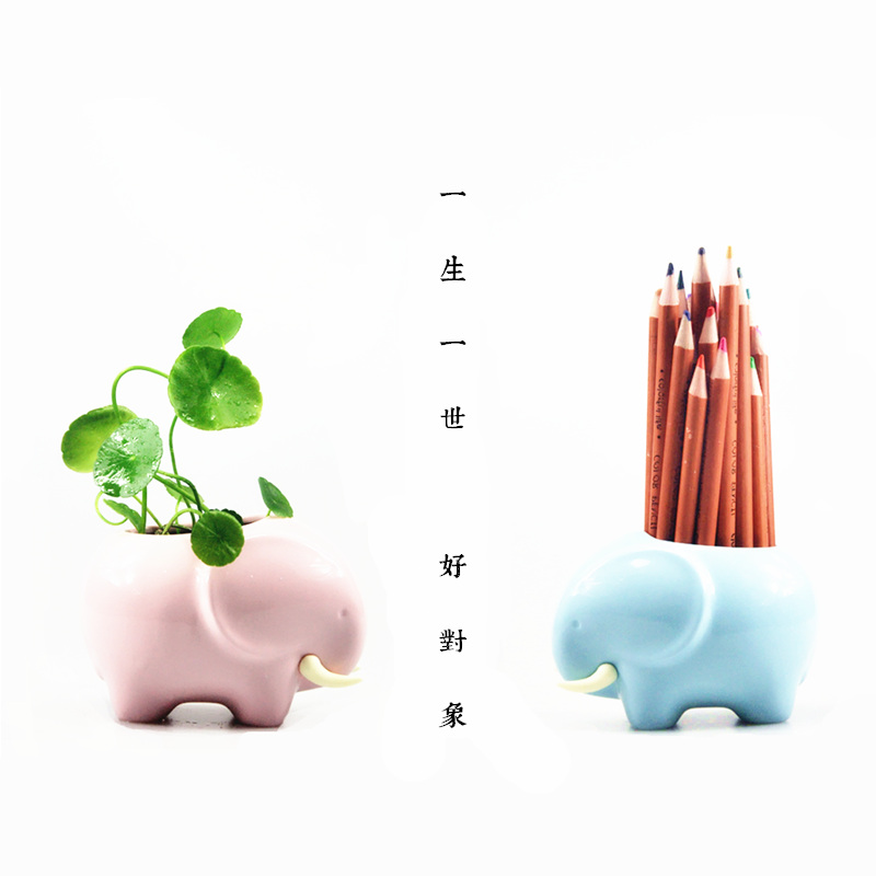 台湾 KEDO 好对象 培植收纳罐 桌面装饰绿植多肉 七夕情人节礼物在类目 家居饰品, 摆件中 - 来自Buy2taobao.com提供专业的淘宝代购服务