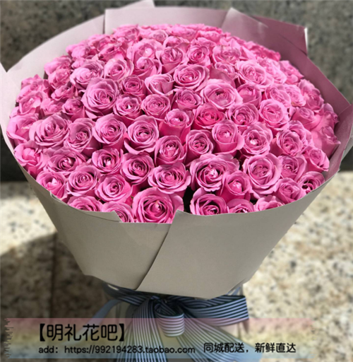 贵阳鲜花店同城配送99朵紫玫瑰鲜花速递女友闺蜜妈妈同事生日花|msdalam kategori penghantaran bunga/bunga simulasi/tumbuhan berkebun, penghantaran bunga (bandar) - dari Buy2taobao.com untuk memberikan perkhidmatan ejen Taobao profesional membeli