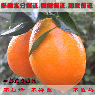  20斤 精品 一帆 赣南脐橙 橙子 甜的新鲜水果 产地直销 六省包邮