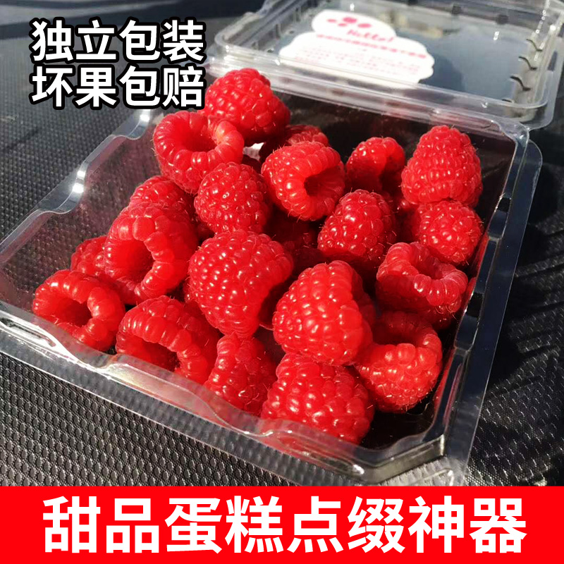 現貨 新鮮樹莓1盒裝有機水果覆盆子紅梅鮮果 江浙滬3盒起順豐包郵在類目 水產肉類/新鮮蔬果/熟食, 新鮮水果, 其它中 - 來自Buy2taobao.com提供專業的淘寶代購服務