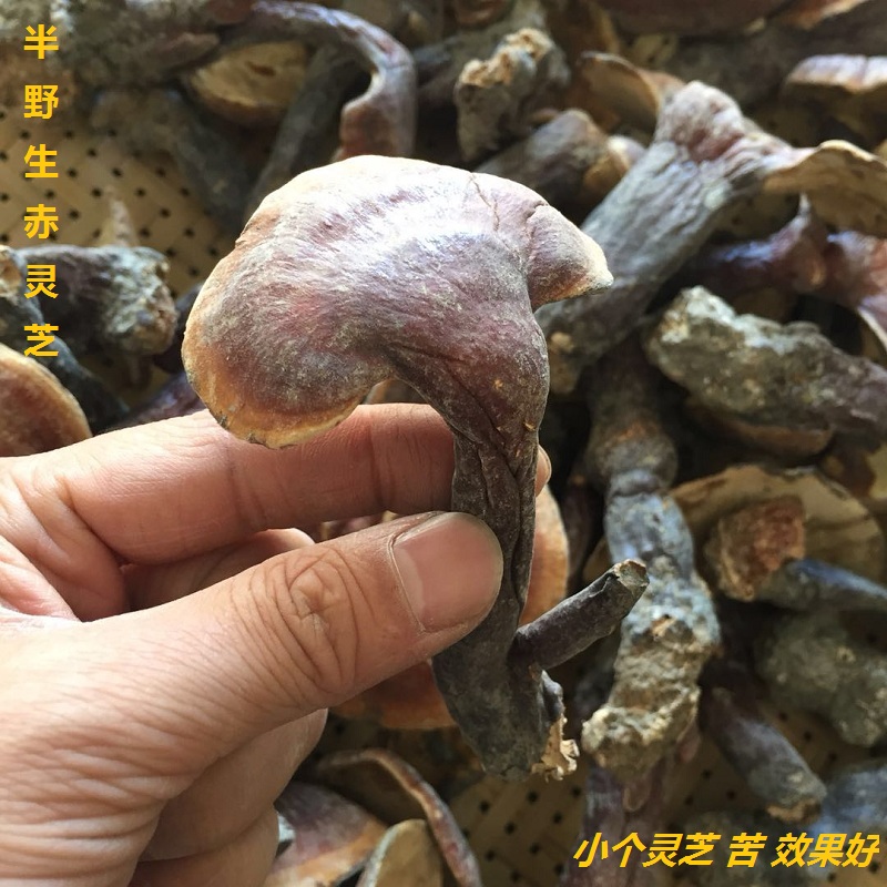 Shaoguan City wild Ganoderma Red Ganoderma lucidum effect Soup Make tea 500 Grams of slicesin the Traditional nourishing food , Ganoderma , Pruning Ganoderma category - from Buy2taobao.com to provide professional Taobao agent buy service
