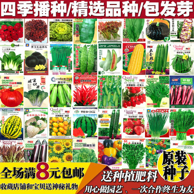 蔬菜种子四季播阳台农家庭院盆栽辣椒番茄黄瓜韭菜香菜草莓籽包邮