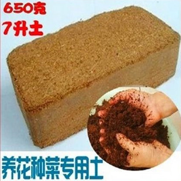 无菌压缩椰粉砖/垫材/椰砖/椰土/营养土椰糠芽菜无土栽培基质650g|ruв категории доставка цветов/цветок моделирования/растения садоводства, садовых принадлежностей, домашнее садоводство удобрений/питательной почвы/питательный раствор - от Buy2taobao.com для оказания профессиональной услуги покупки агента Taobao