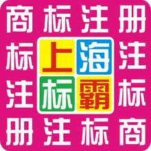 公司个人加急商标注册申请受理第六大类小类解析咨询