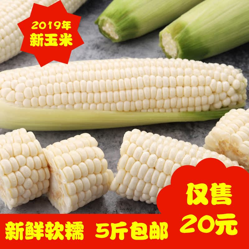 新鲜水果玉米甜玉米农家白玉米糯玉米即食玉米非转基因5斤包邮在类目 水产肉类/新鲜蔬果/熟食, 新鲜蔬菜/蔬菜制品, 新鲜蔬菜, 新鲜玉米中 - 来自Buy2taobao.com提供专业的淘宝代购服务