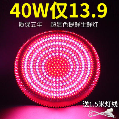 led生鲜灯 猪肉灯卤菜熟食灯蔬菜 水果灯海鲜灯冷鲜肉灯照肉灯e27