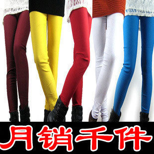  春装新款女装大码打底裤女士秋冬显瘦糖果色铅笔裤加长女裤子