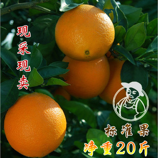  【标准果】赣南脐橙净重20斤装 新鲜水果信丰榨汁果特产8省包邮