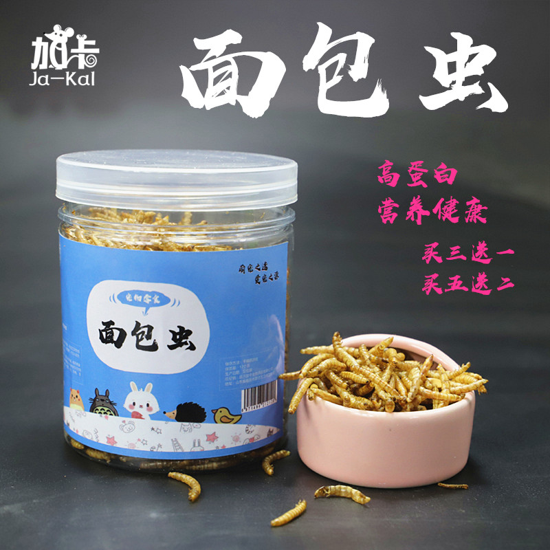 倉鼠散裝蟲 面包蟲幹黃粉蟲 營養蛋白質香脆可口零食在類目 寵物/寵物食品及用品, 倉鼠類及其它小寵, 飼料/零食中 - 來自Buy2taobao.com提供專業的淘寶代購服務