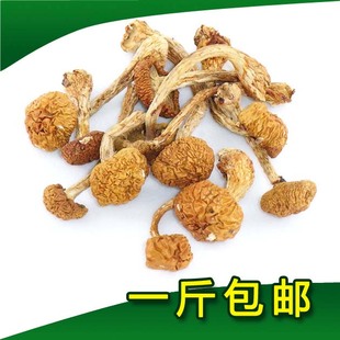  滑子菇干货 东北特产有机滑子蘑 小鸡黄蘑菇 抑制肿瘤 一斤包邮