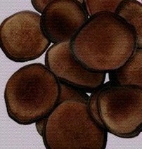  鹿鞭片 鹿茸片 鹿心血 鹿鞭 全部批发价