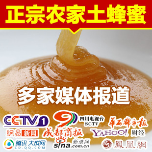  赵海伶山珍 土蜂蜜 深山 农家自产 蜂蜜 纯天然 野生蜂蜜2件 包邮