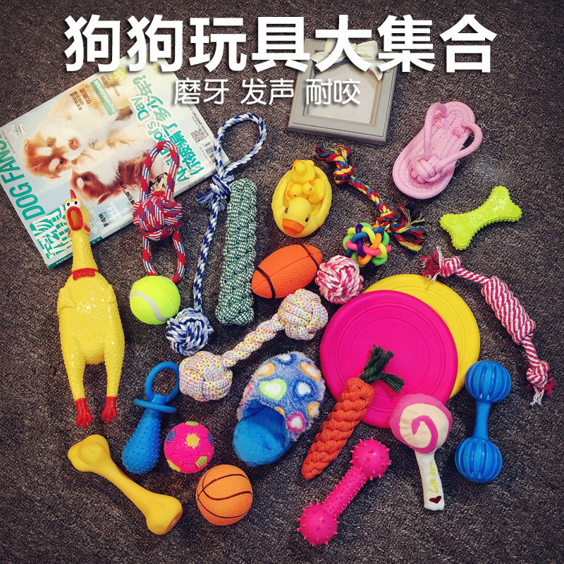 狗狗磨牙棒幼犬壹個月用品泰迪狗玩具玩狗訓練的啃咬陪小狗吃骨頭在類目 寵物/寵物食品及用品, 貓/狗玩具, 繩結玩具中 - 來自Buy2taobao.com提供專業的淘寶代購服務
