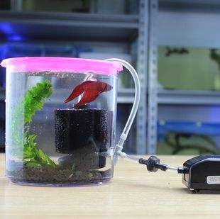 斗鱼缸【正品秒杀】,斗鱼缸厂家直销