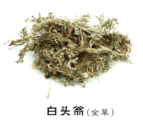 白头翁 白头草老姑草菊菊苗老翁花白头翁中药材500g顺丰